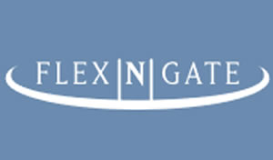 Flex N Gate logo